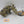Stormraven Gunship