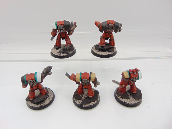 Cataphractii Terminator Squad