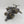 Stormtalon Gunship