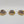 Canoptek Scarab Swarms
