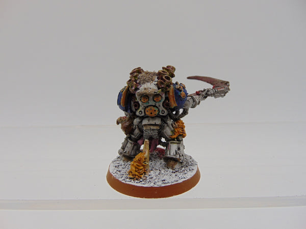 Typhus