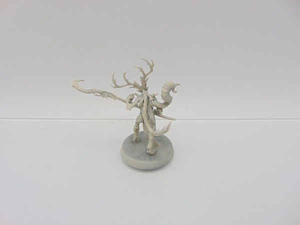 Branchwych