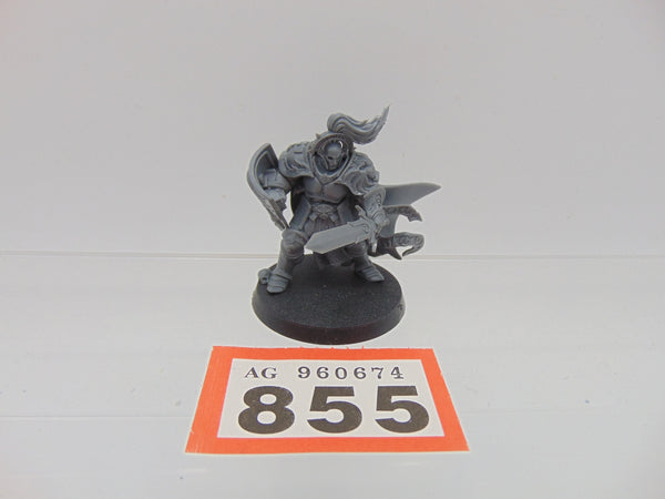 Knight Questor