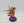 Archon