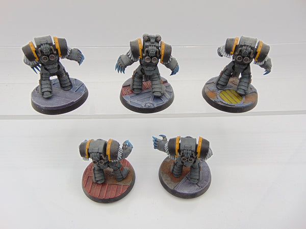 Cataphractii Terminator Squad