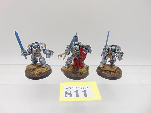 Terminator / Paladin Squad