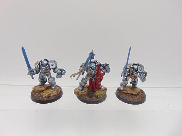 Terminator / Paladin Squad