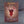 White Dwarf Issue 337