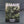 White Dwarf Issue 336