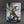 White Dwarf Issue 335