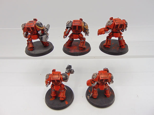 Terminator Squad