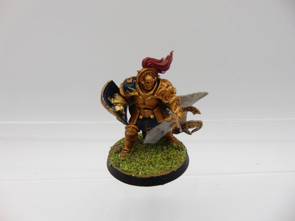 Knight Questor