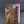 White Dwarf Issue 365