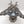 Corvus Blackstar