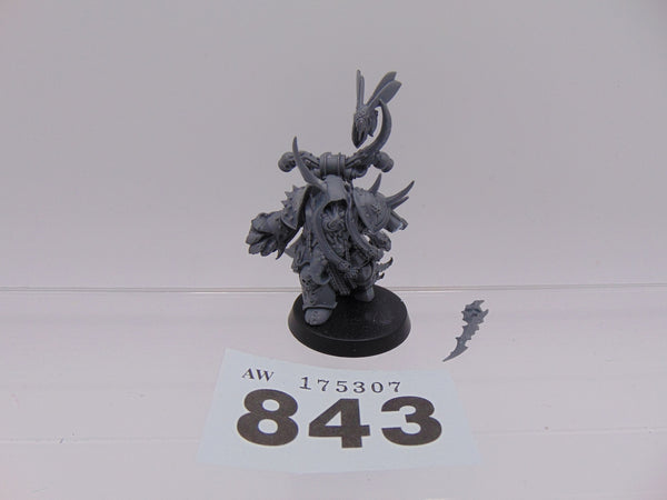 Plague Marine Champion