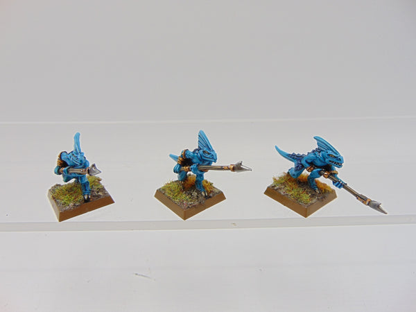 Skink Handlers