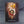 White Dwarf Issue 320