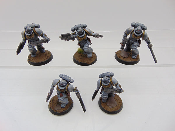 Assault Intercessors