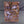 White Dwarf Issue 314