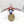 Archaeopter Fusilave