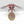 Archaeopter Fusilave