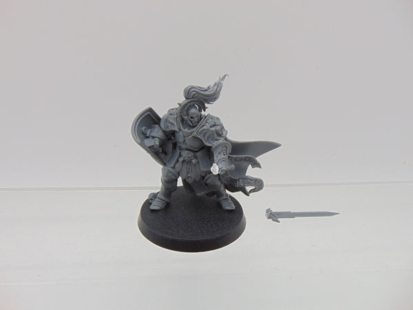 Knight Questor