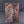 White Dwarf Issue 343