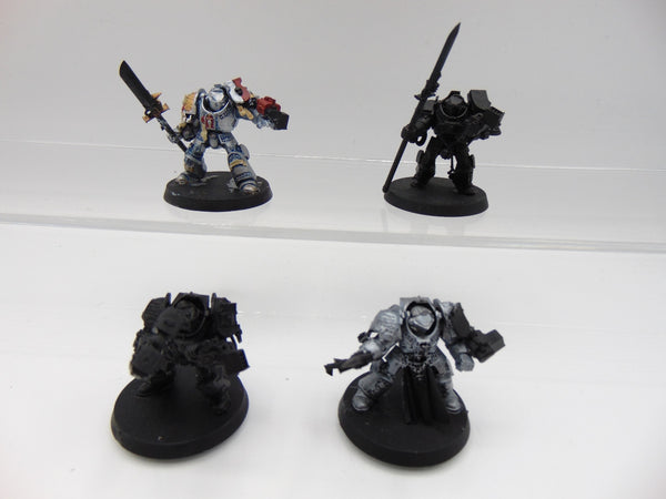 Terminator / Paladin Squad