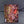 White Dwarf Weekly Issue 123