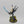 Wraithlord