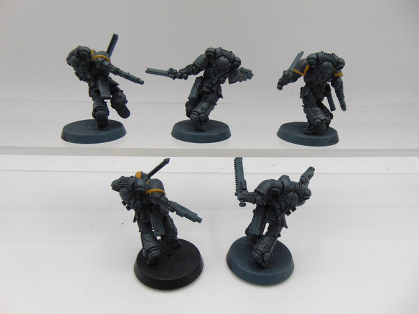 Assault Intercessors