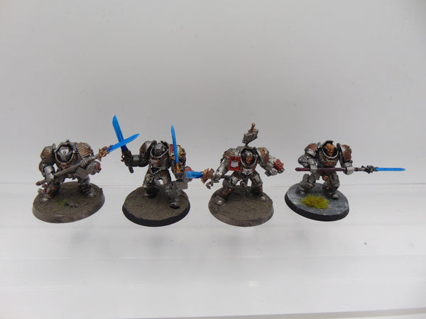 Terminator / Paladin Squad