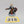 Primaris Lieutenant