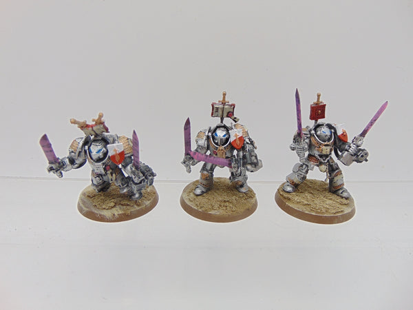 Terminator / Paladin Squad