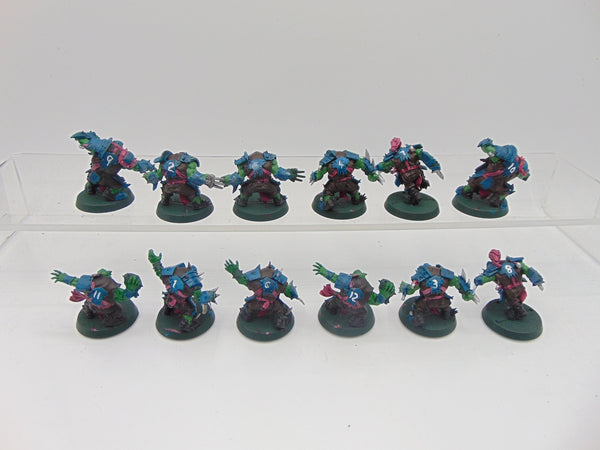 Orc Blood Bowl Team