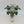 Stormtalon Gunship
