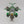 Stormtalon Gunship