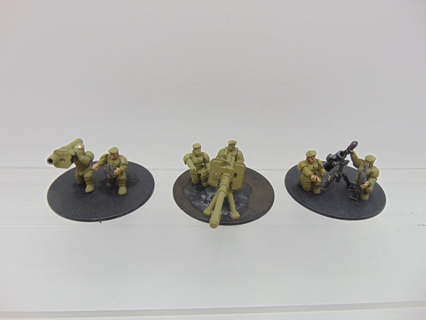 Cadian Heavy Weapon Squad