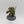 Plague Marine Champion