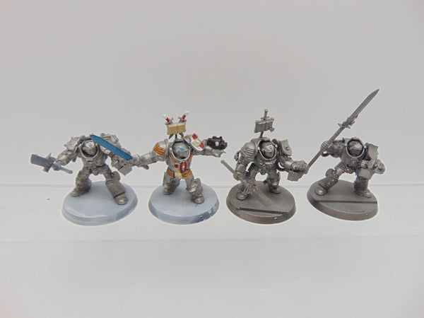 Terminator/Paladin Squad