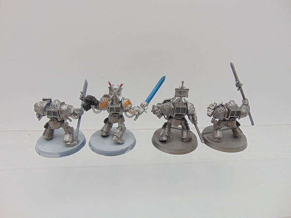 Terminator/Paladin Squad