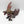 Stardrake