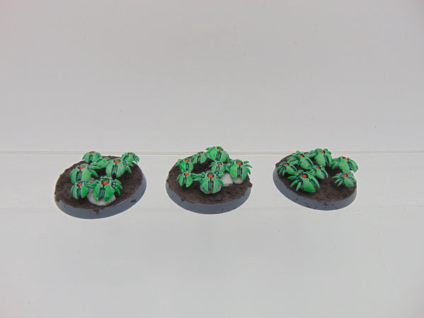 Canoptek Scarab Swarms