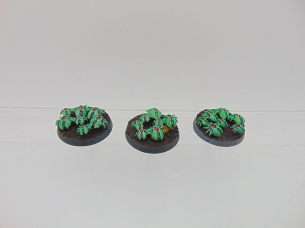 Canoptek Scarab Swarms