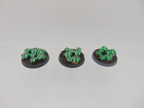 Canoptek Scarab Swarms