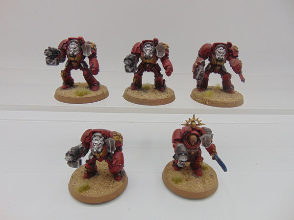 Terminator Squad