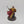 Primaris Captain