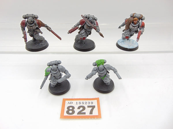 Assault Intercessors