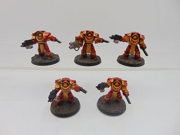 Cataphractii Terminator Squad