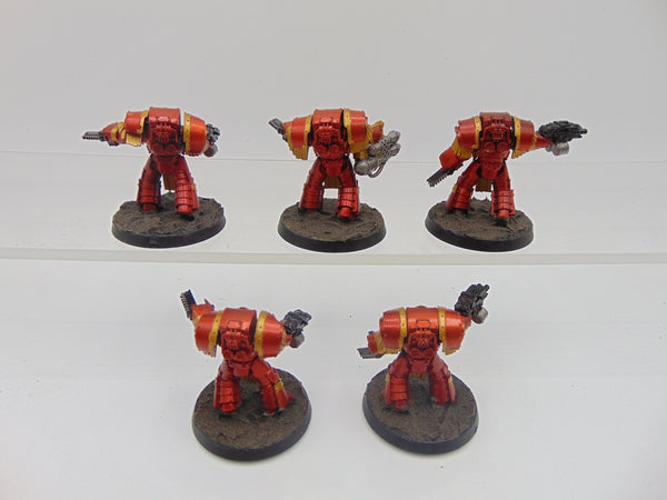 Cataphractii Terminator Squad